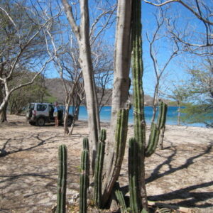 Playa Coyotera